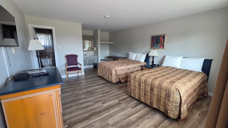 Chambre 2 Lits Queen – animaux permis