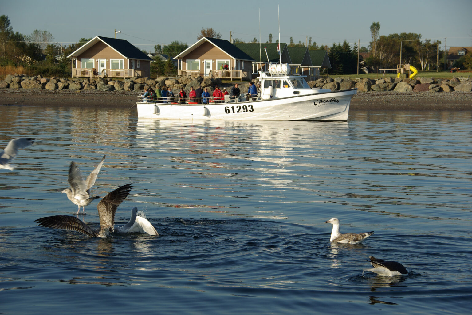 Sortie en mer - Tourisme Chaleur 263